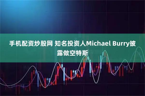 手机配资炒股网 知名投资人Michael Burry披露做空特斯