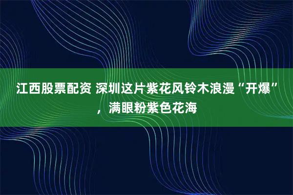 江西股票配资 深圳这片紫花风铃木浪漫“开爆”，满眼粉紫色花海
