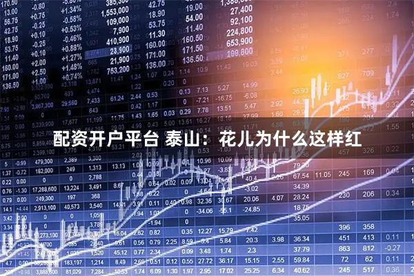 配资开户平台 泰山：花儿为什么这样红